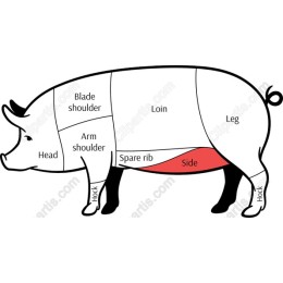 Pig Anatomy Diagram
