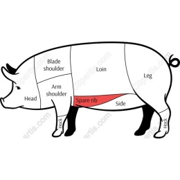 Pig Anatomy - Pork Cuts Diagram