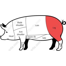 Pig Anatomy - Cuts of Pork