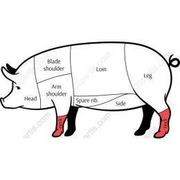 Educational Pig Cuts