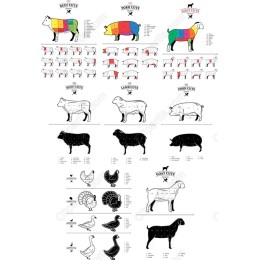 Comprehensive Meat Cuts