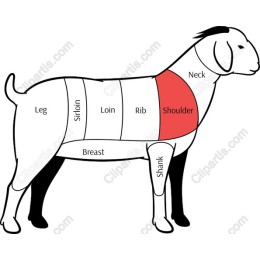 Goat Anatomy - Shoulder Section