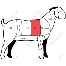 Goat Meat Cuts