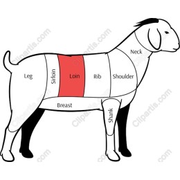 Goat Butchery Cuts Educational