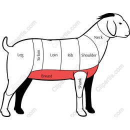 Goat Anatomy Diagram