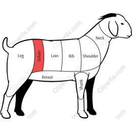 Goat Cuts Anatomy