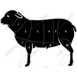 Sheep Anatomy Diagram