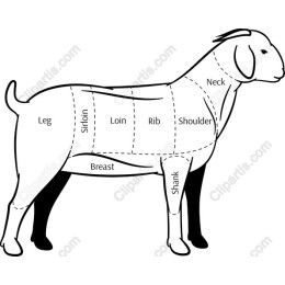 Goat Anatomy Diagram