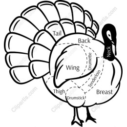 Anatomy of a Turkey