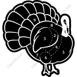 Stylized Turkey - Thanksgiving