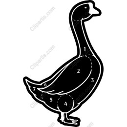 Segmented Goose