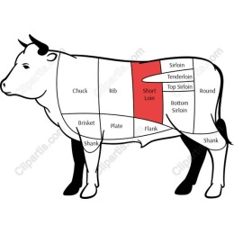 Cow Anatomy Diagram - Meat Cuts