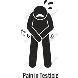 Testicle Pain