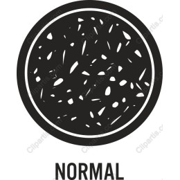 Normal Seed Texture