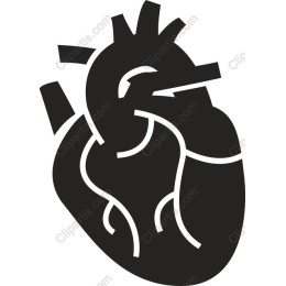 Stylized Heart