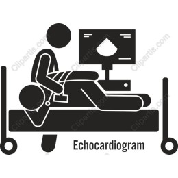Echocardiogram Medical