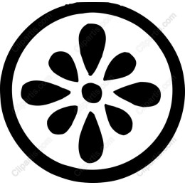 Elegant Black and White Floral