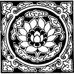 Elegant Lotus Flower