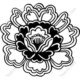 Elegant Peony Floral