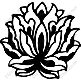 Elegant Lotus Flower