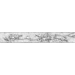 Elegant Floral