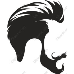 Stylized Hair