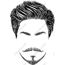 Stylish Man Hair and Beard