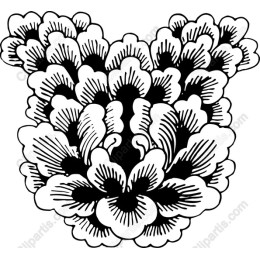 Elegant Floral