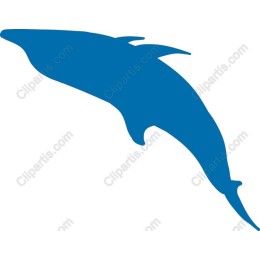 Dolphin in Blue