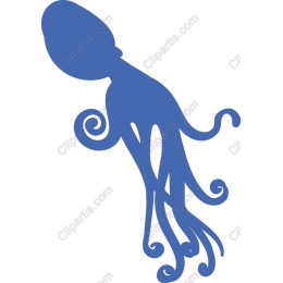 Elegant Octopus