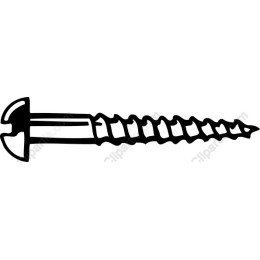  Screw