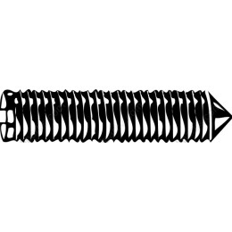 Screw