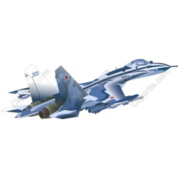a Combat Fighter Jet in and