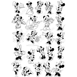 Minnie Mouse Bundle