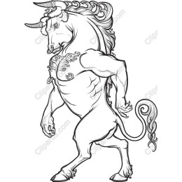 Muscular Bull