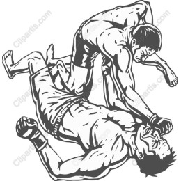 Mixed Martial Arts Action