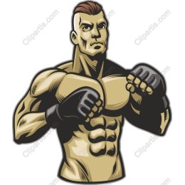 Dynamic Muscular Fighter