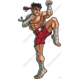 Martial Arts Fighter