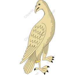 Majestic Falcon