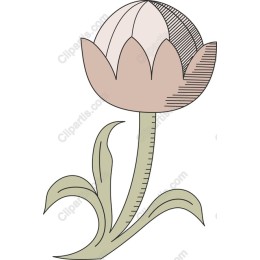 Elegant Stylized Flower