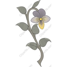 Elegant Floral