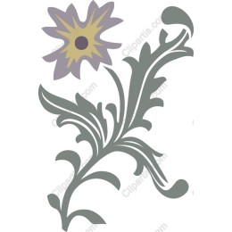 Elegant Floral