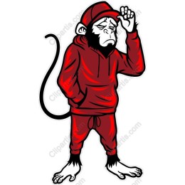 Urban Cool Monkey