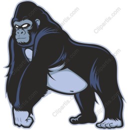 Gorilla Power