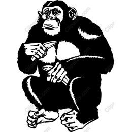 Artful Chimp