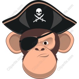 Pirate Monkey Adventure
