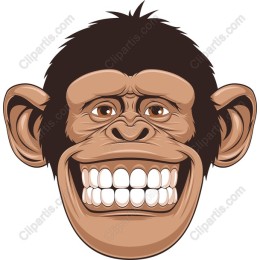 Cheerful Monkey Face