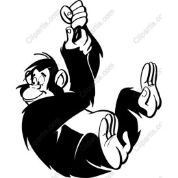 Playful Swinging Monkey