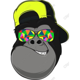 Cool Gorilla