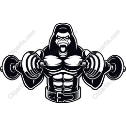 Muscle Gorilla